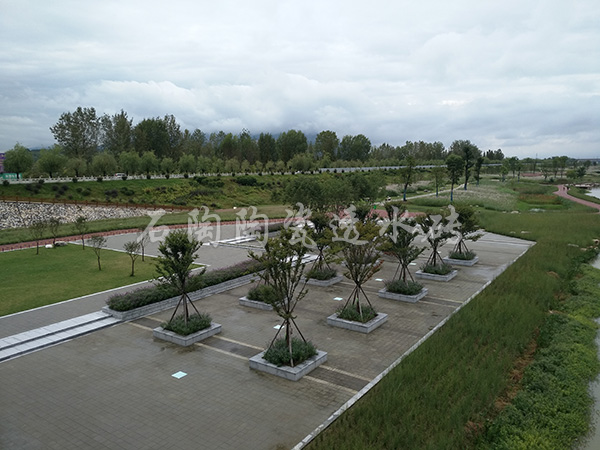 【杭州市政道路】陶瓷透水磚項目工程