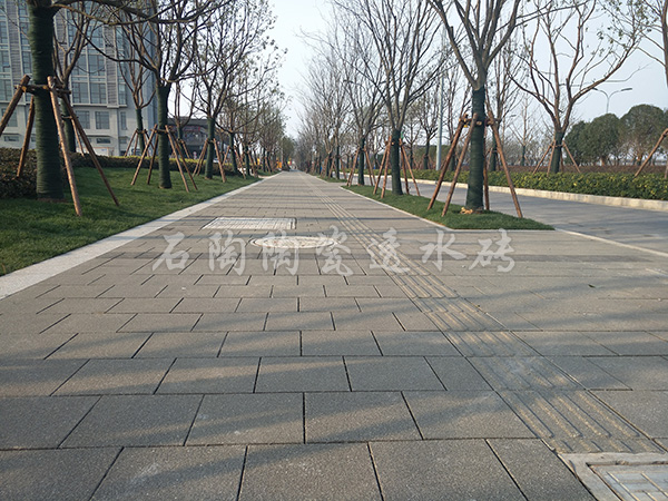 【上海滴水湖環湖公園】陶瓷透水磚項目工程